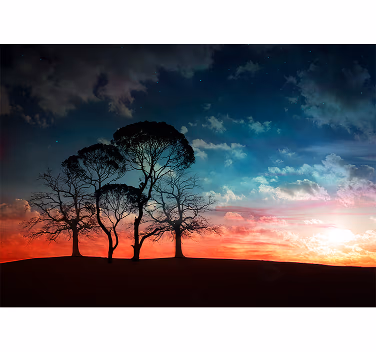 Wall mural trees silhouette tree at sunset - TenStickers