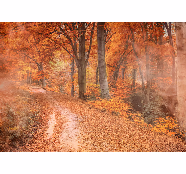 Nature wallpaper autumn trail path - TenStickers