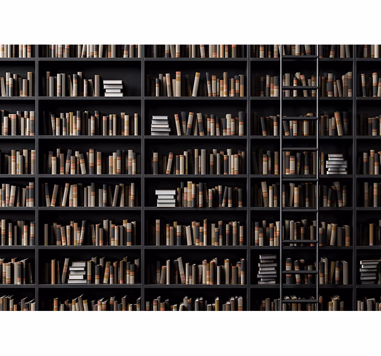 Mural stone wall library book collection - TenStickers