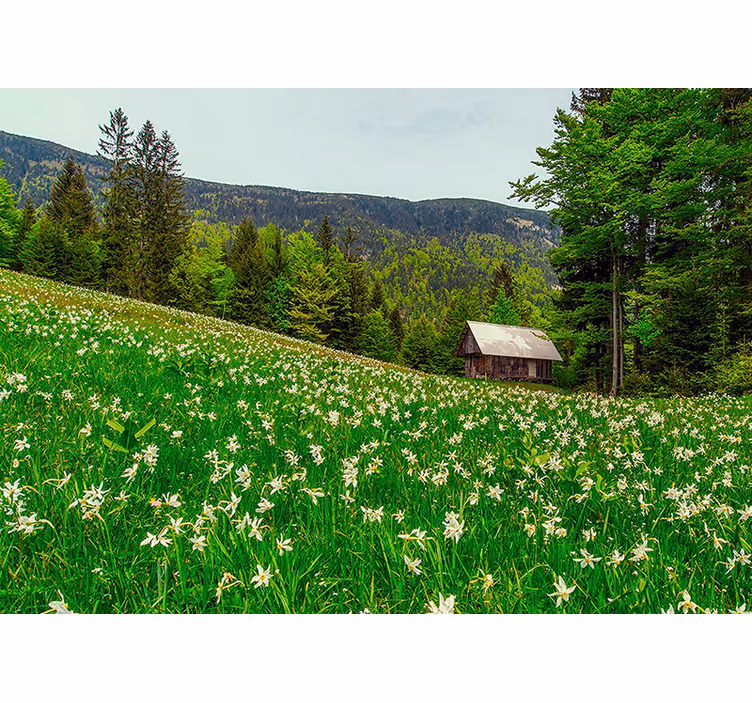 Wall mural nature serene pastoral landscape - TenStickers