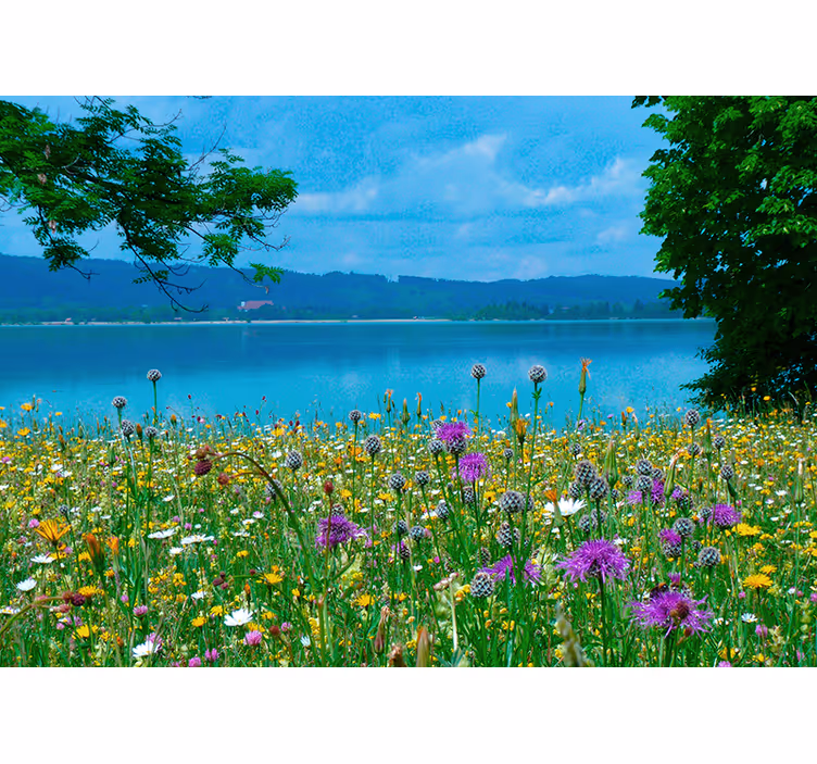 Flower wall mural lush meadow flora - TenStickers