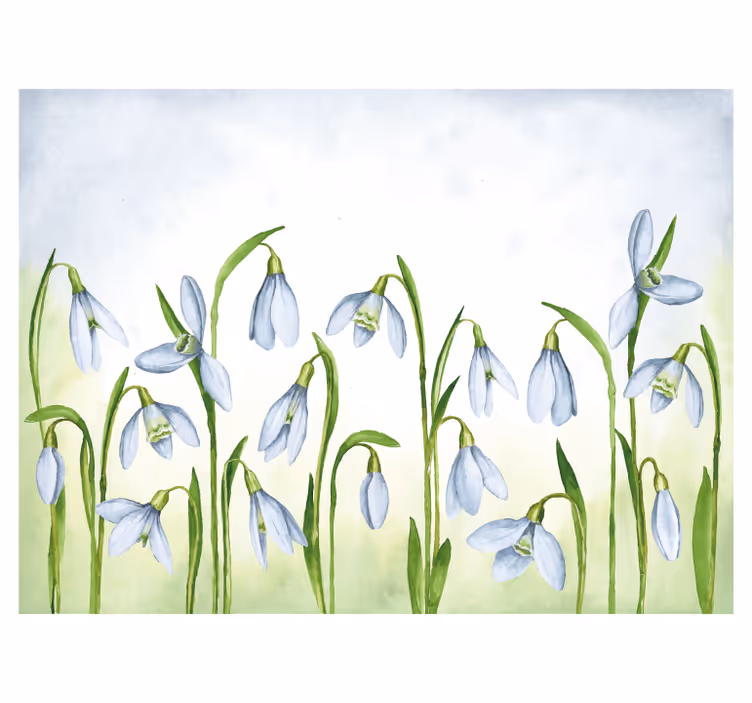 Flower wall mural snowdrop flora - TenStickers