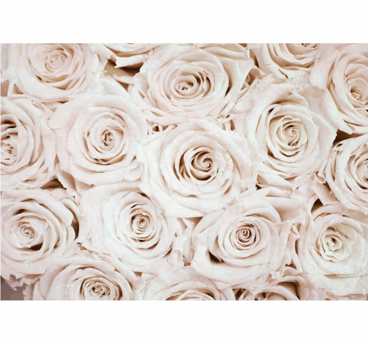 Flower wall mural soft rose arrangement - TenStickers