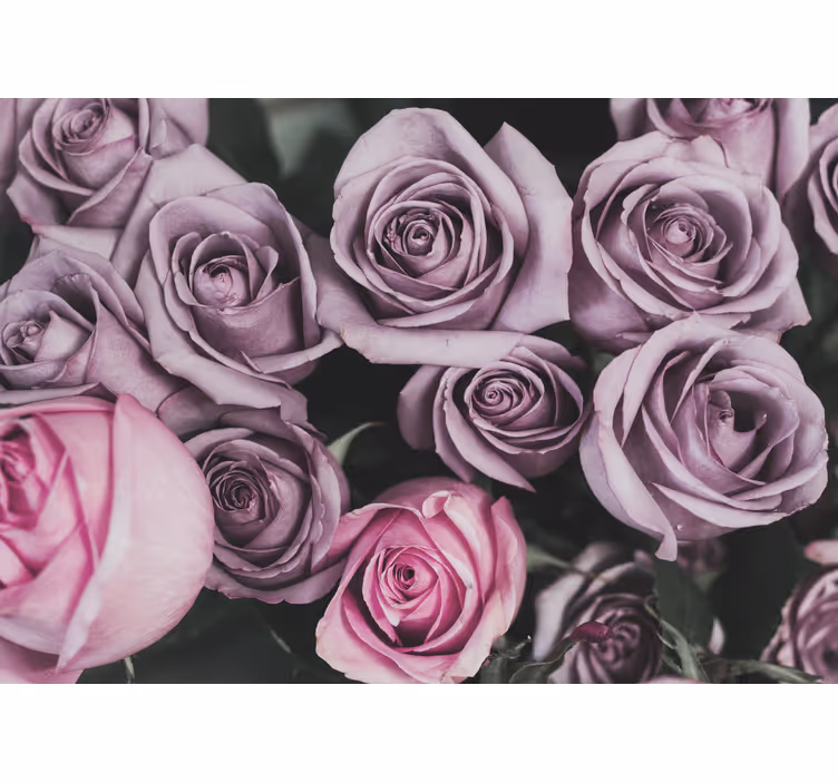 Flower wall mural lavender rose bouquet - TenStickers