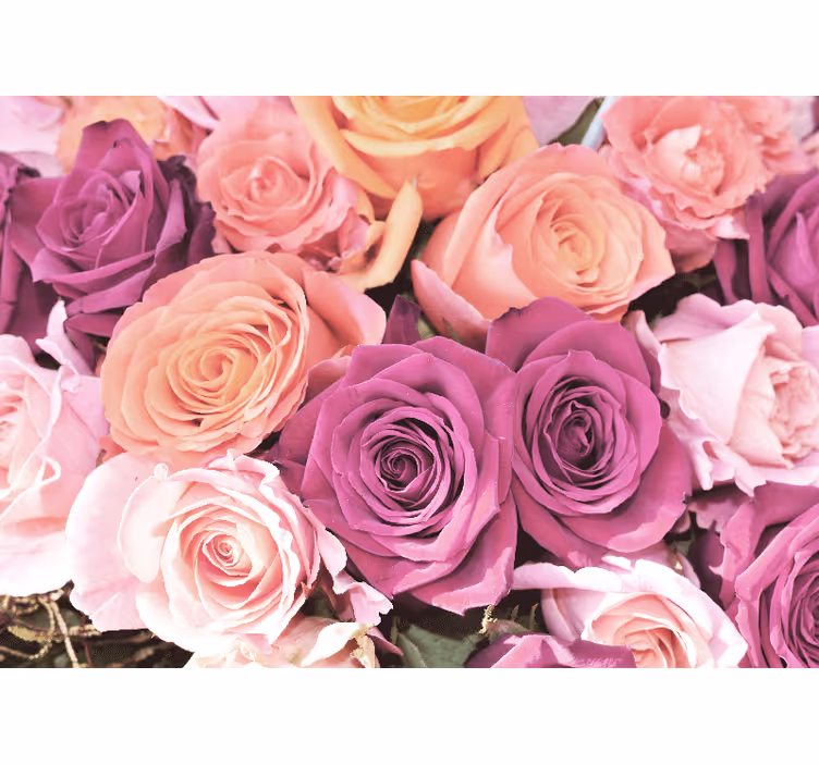 Flower wall mural rose bouquet close-up - TenStickers