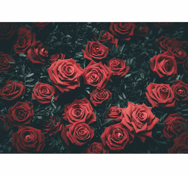 Romantic red roses flower wall mural - TenStickers