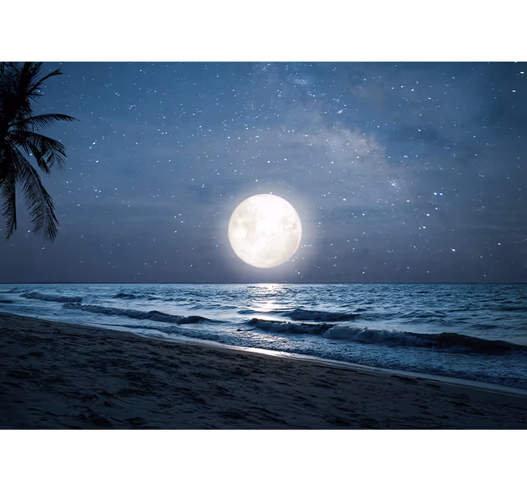 Wall mural nature bright moonlit ocean - TenStickers