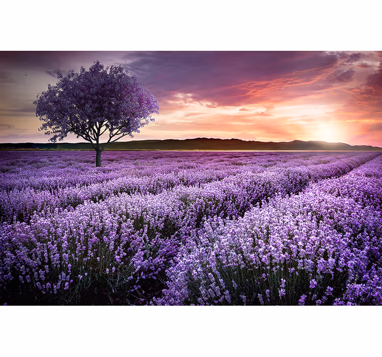 Flower wall mural lavender meadow twilight - TenStickers