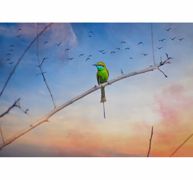 Animals wall mural bird on branch design - TenStickers