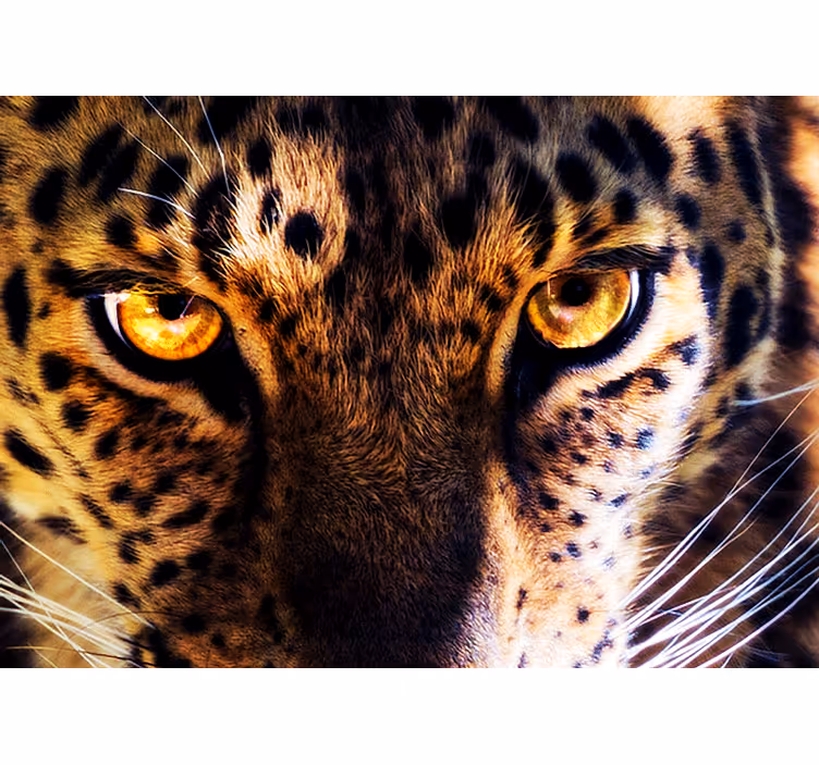 Lion wall mural majestic leopard gaze - TenStickers