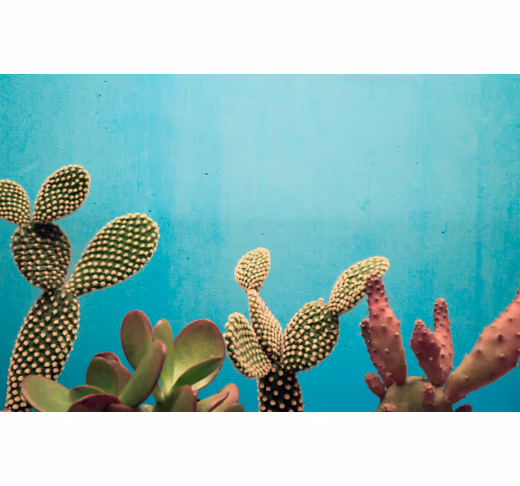 Cactus plants blue wall mural wallpaper - TenStickers