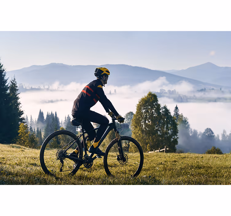 Cyclist riding bicycle in mountains mural - TenStickers
