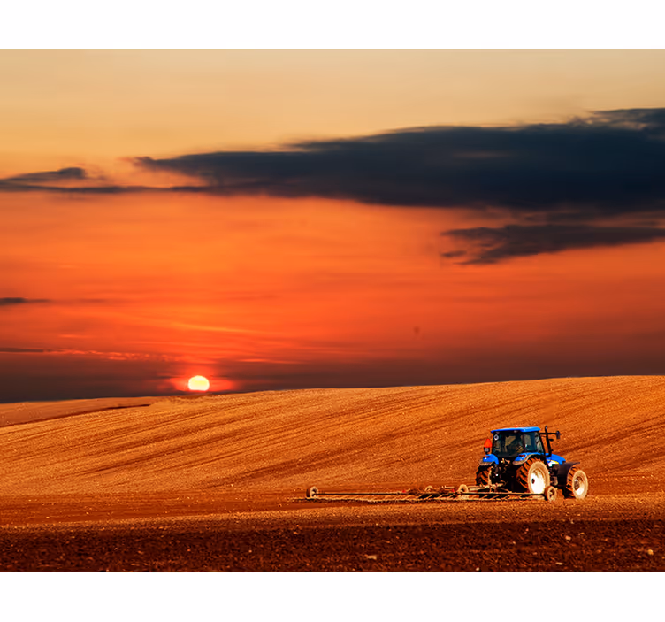 Tractor on a field wall mural - TenStickers