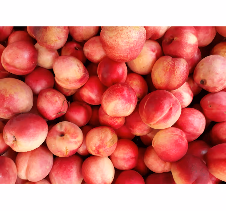 Peaches fruits wall mural - TenStickers