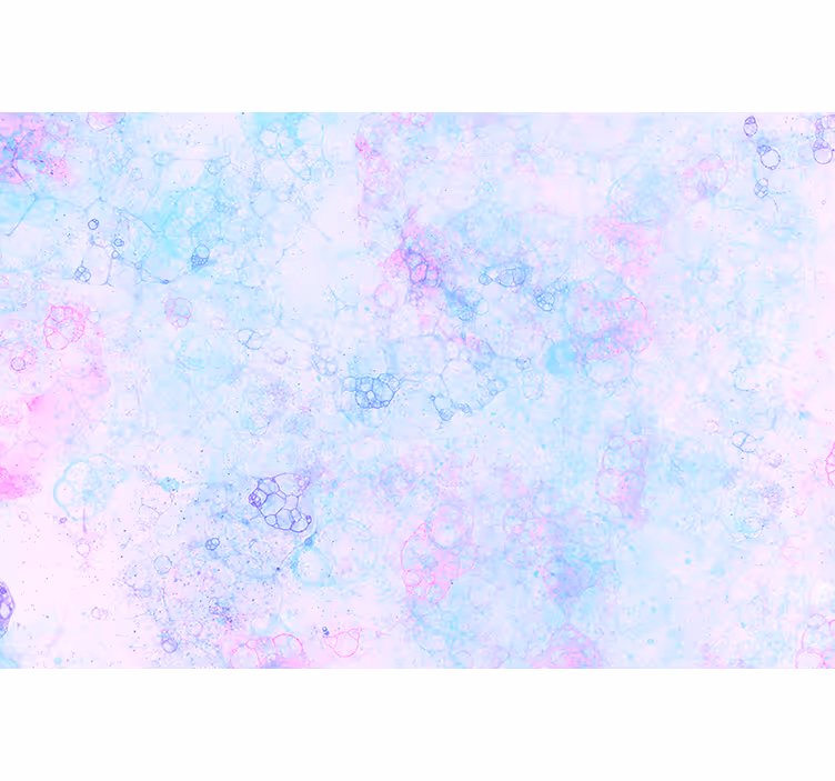 Pink and blue bubbles 3D wallpaper - TenStickers