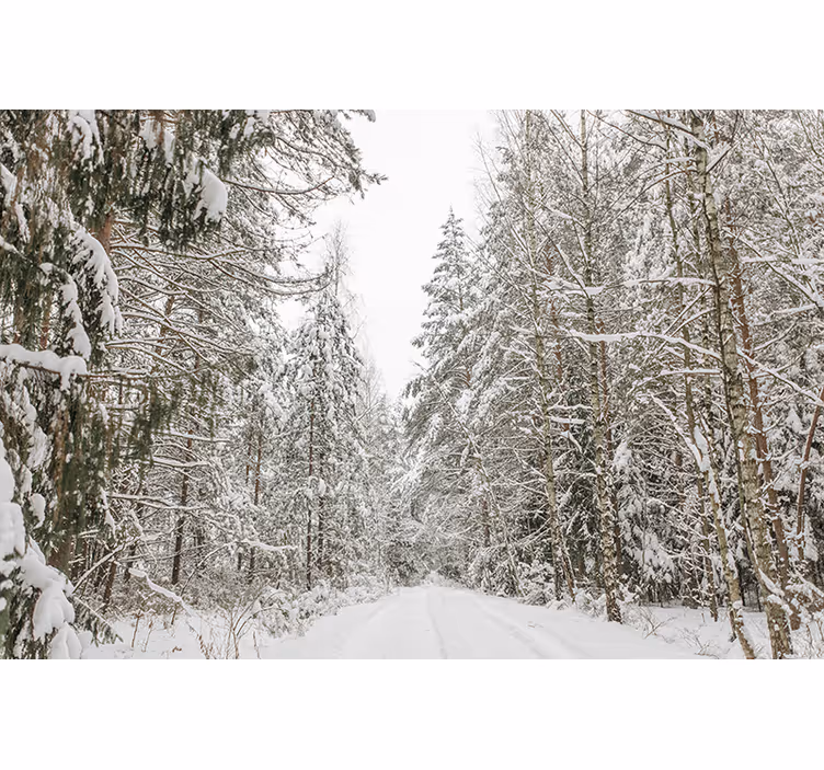 Winter Woodland Wall Mural - TenStickers