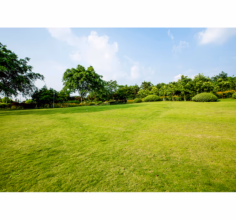 Verdant Meadow Panorama wall mural nature - TenStickers