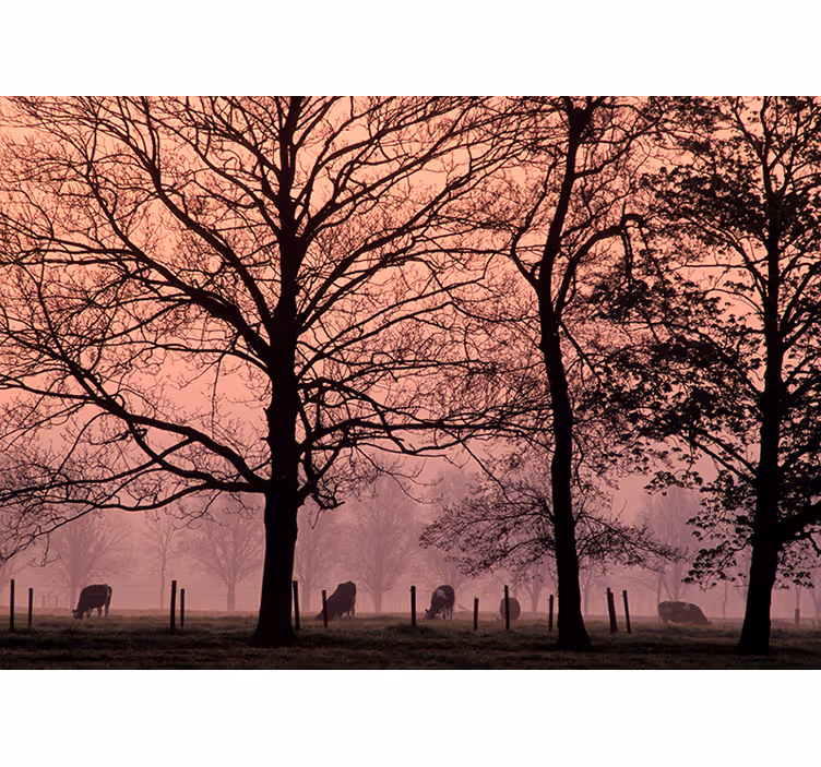 Misty Treescape landscape wall mural - TenStickers