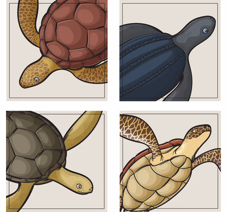 Geek coasters colorful turtle illustrations - TenStickers