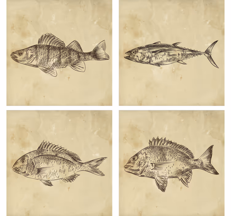 Geek coasters whimsical fish design - TenStickers