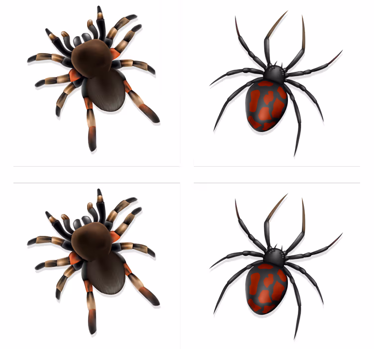 Halloween coaster spooky spider collection - TenStickers