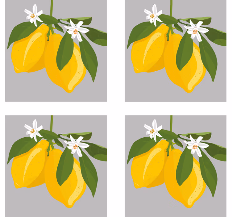 Modern coasters yellow lemons with leaves - TenStickers