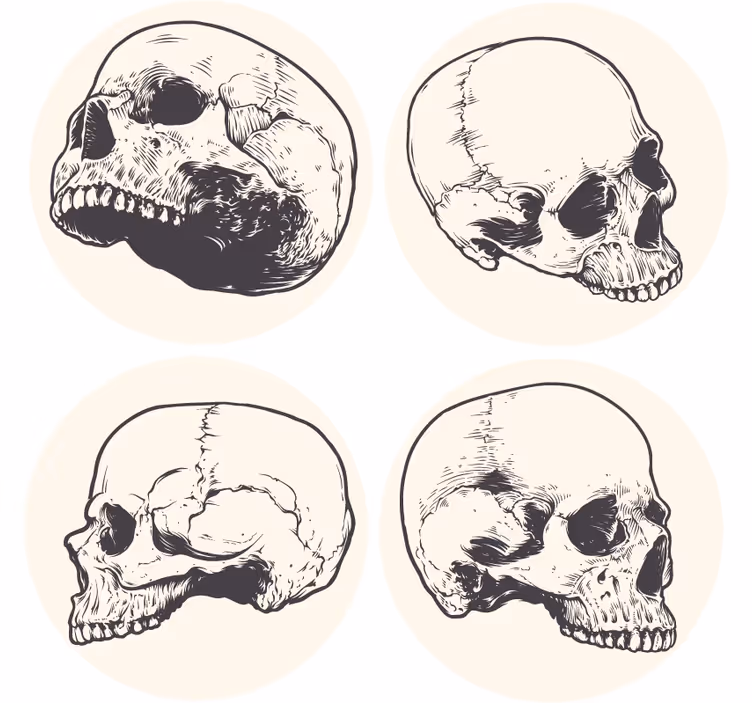 Geek coasters skull illustration collection - TenStickers