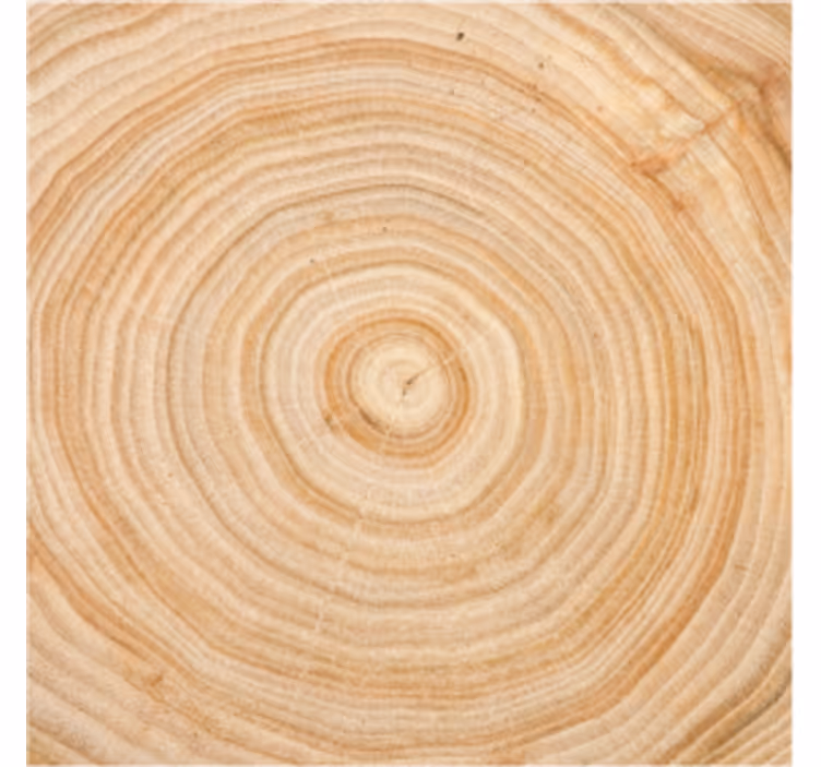 Texture coasters wood grain circle - TenStickers