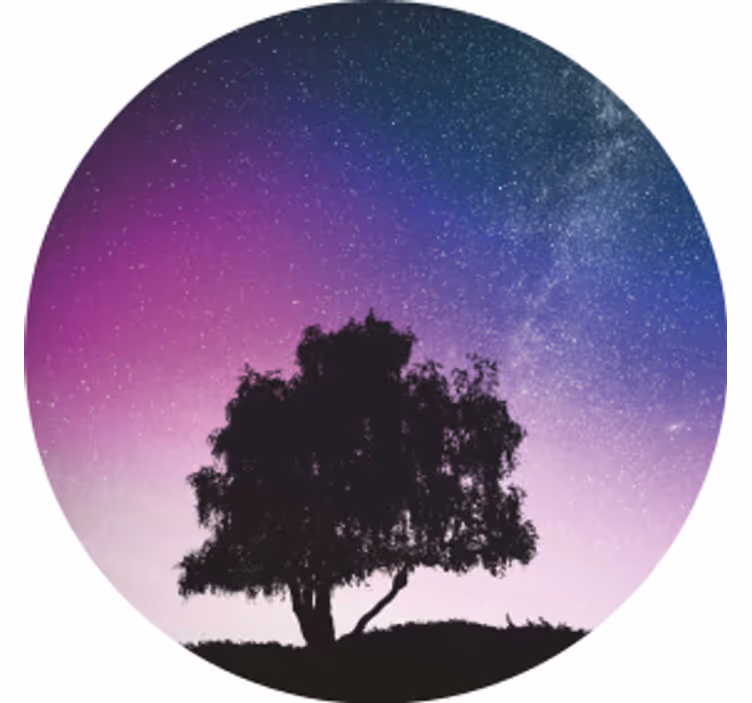 Modern coasters starry night tree design - TenStickers