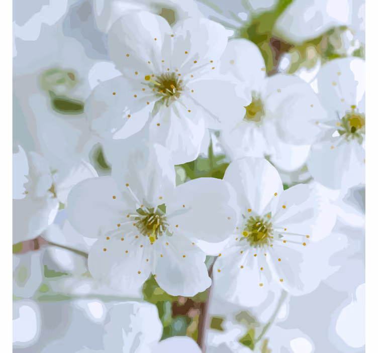 Texture coasters delicate cherry blossoms design - TenStickers