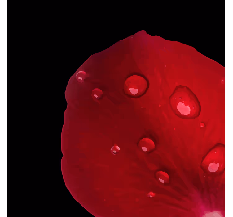 Texture coasters dewy rose petal - TenStickers