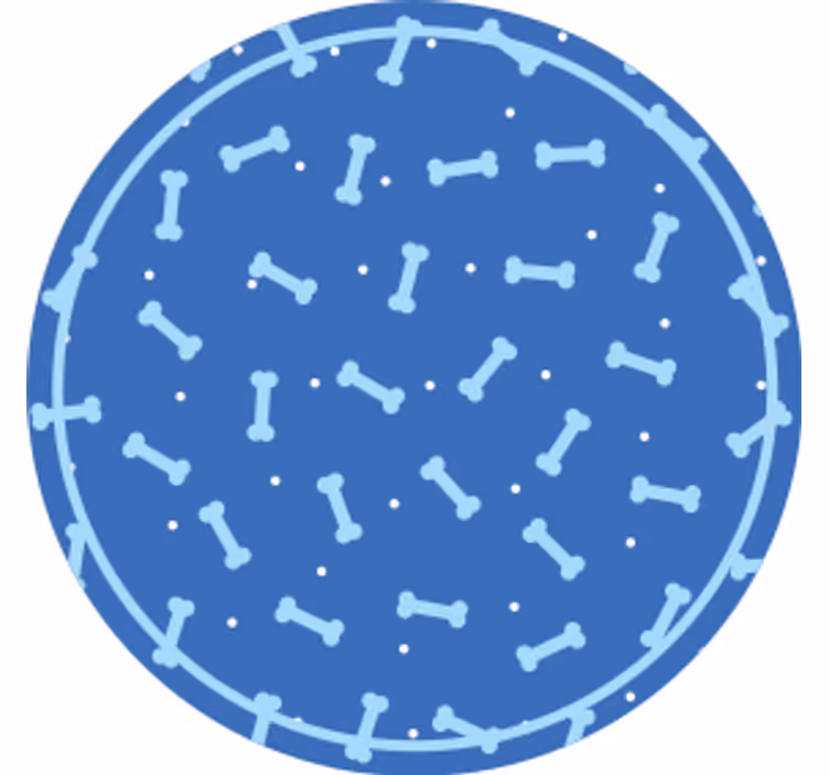 Texture coasters bone pattern circle - TenStickers