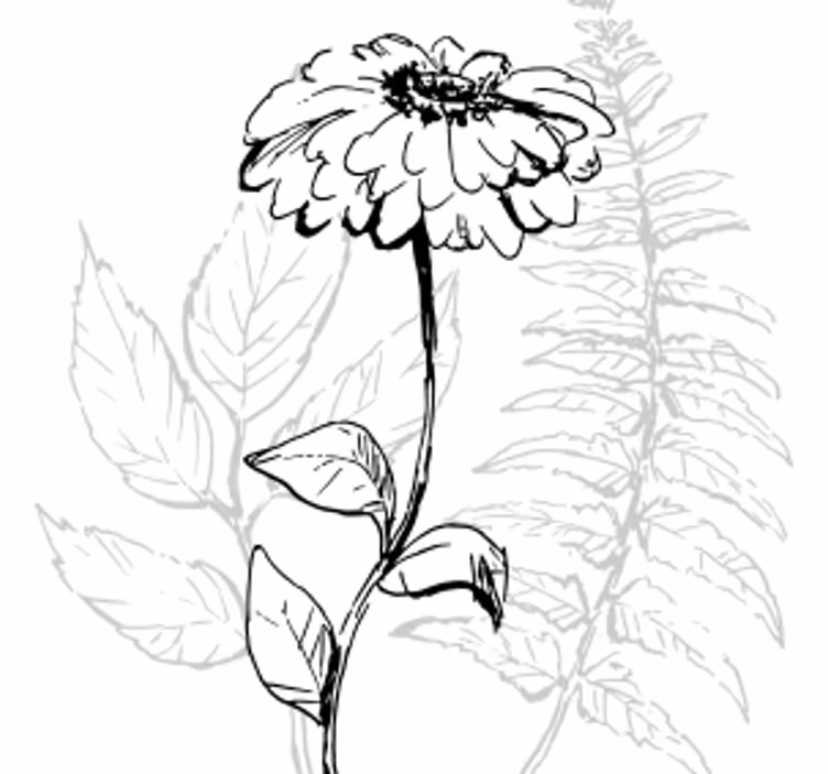 Texture coasters botanical line art design - TenStickers