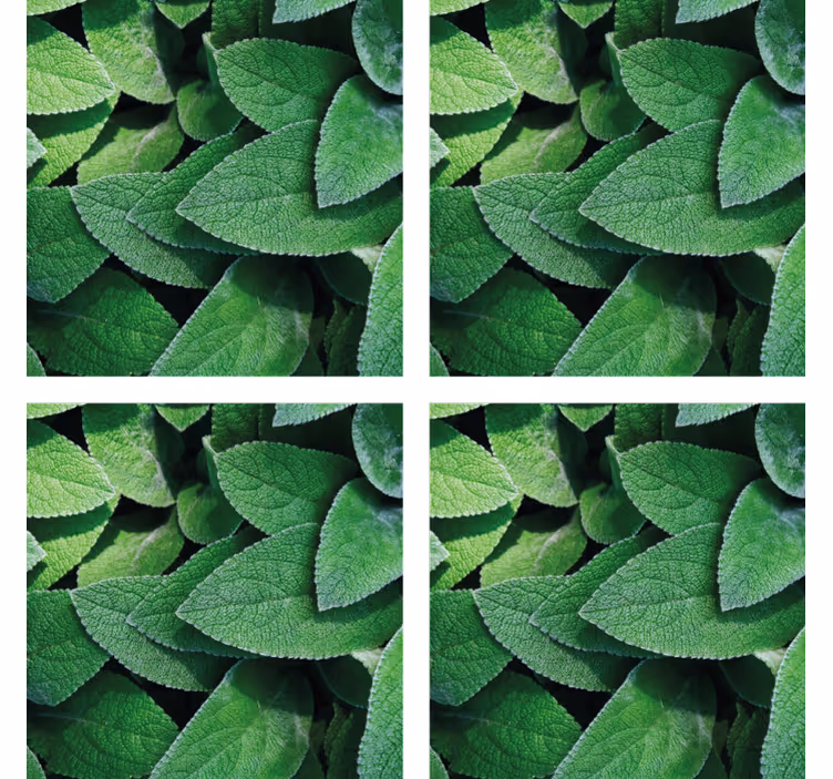 Texture coasters with lively green leaf design - TenStickers