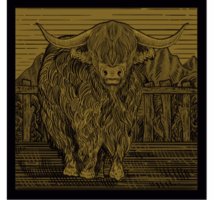 Vintage engraving highland cow more coasters - TenStickers