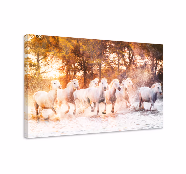 Horse wall art of wild horses at sunset - TenStickers