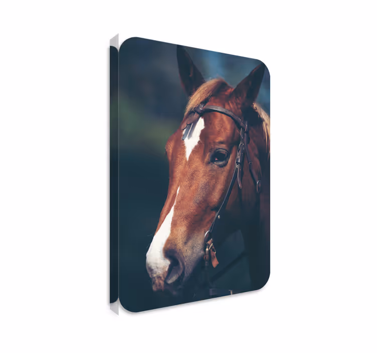 Horse wall art featuring a horse head silhouette - TenStickers