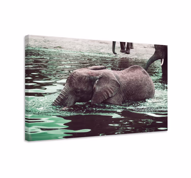 Elephant wallart drinking baby elephants - TenStickers