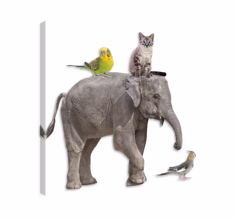 Elephant wallart featuring diverse wildlife designs - TenStickers