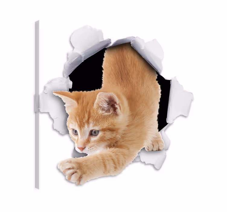 Cat wall art illusion cat vinyl decor - TenStickers