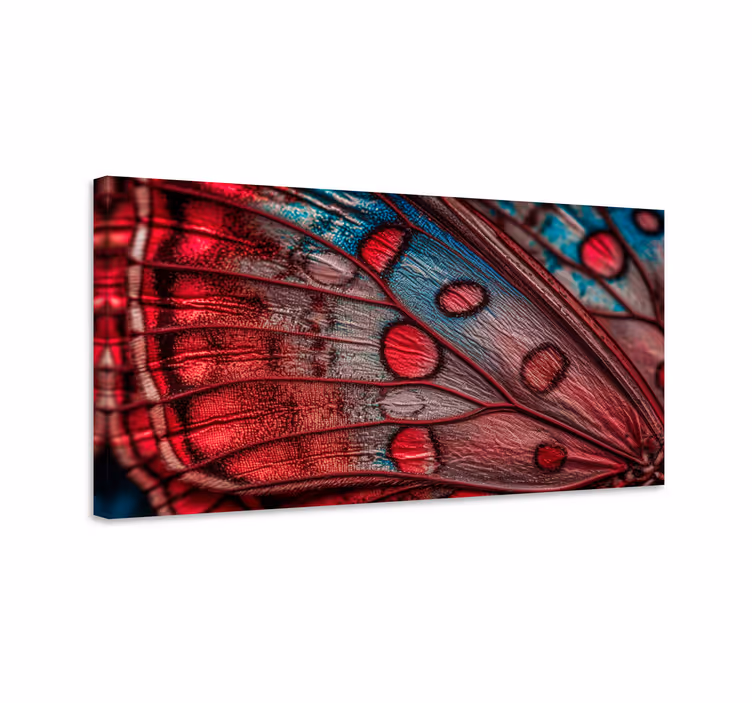 Butterfly canvas with butterfly wing design - TenStickers