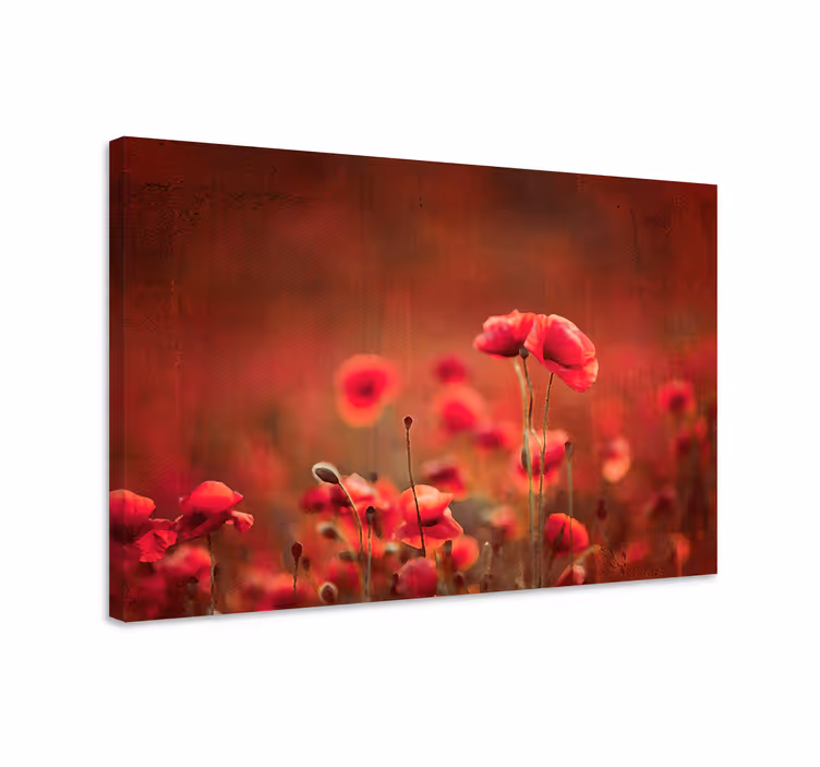 Flowers canvas radiant poppy meadow - TenStickers