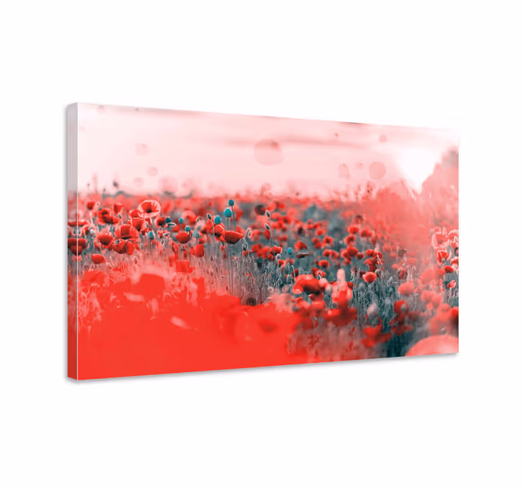 Flower canvas lively poppy meadow - TenStickers