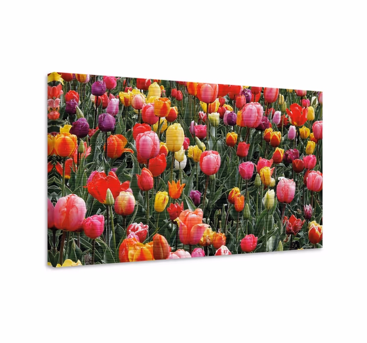 Flowers canvas colorful tulip blooms artwork - TenStickers