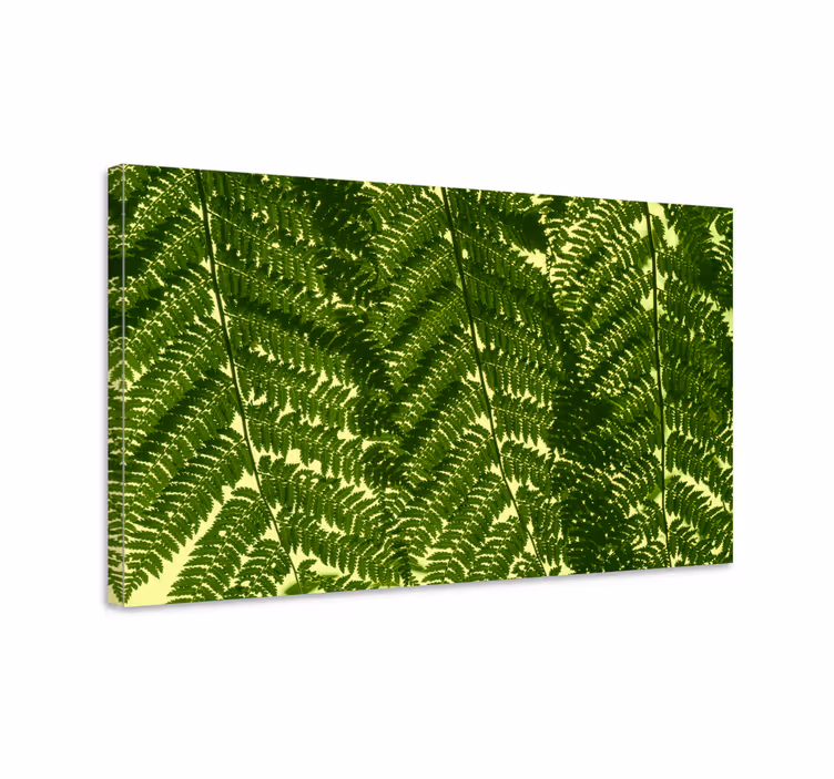 Flowers canvas fern leaves arrangement - TenStickers