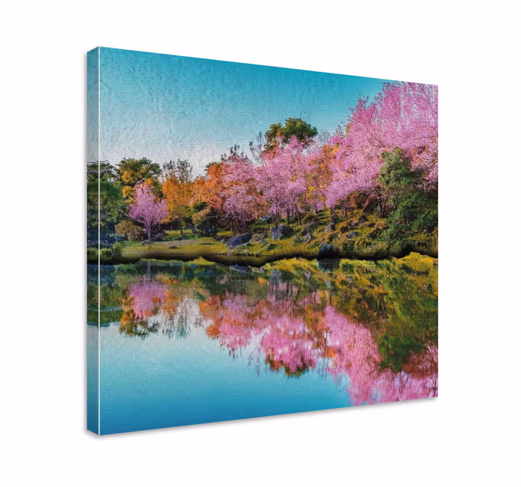 Cherry Blossom Reflection landscape canvas - TenStickers