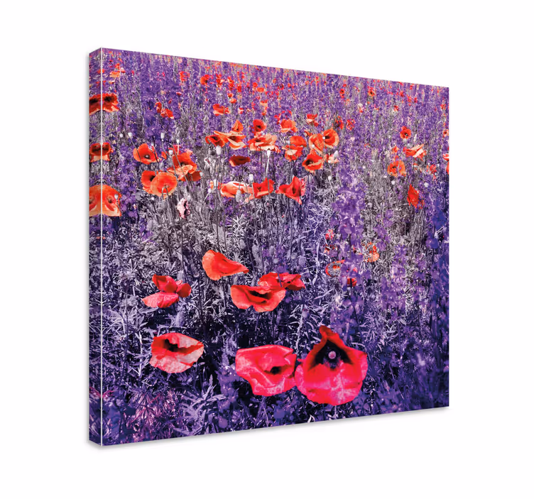 Flowers canvas luminous poppy field - TenStickers