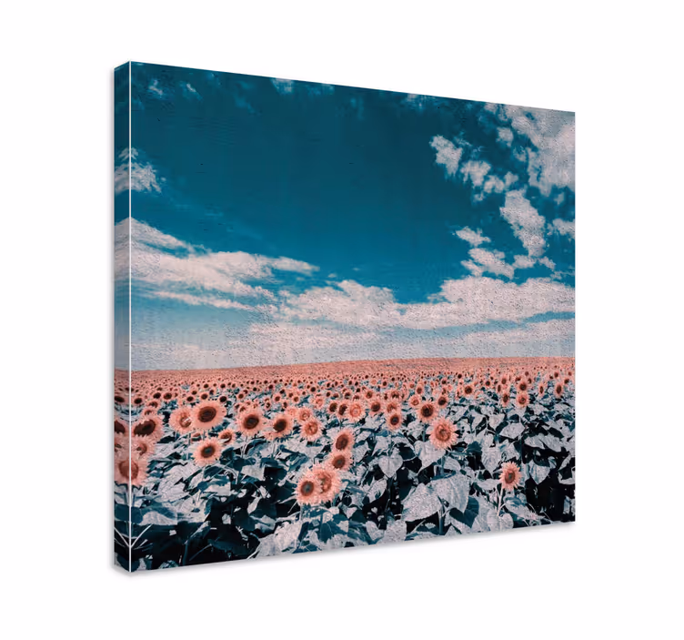 Sunflower field horizon flowers canvas - TenStickers