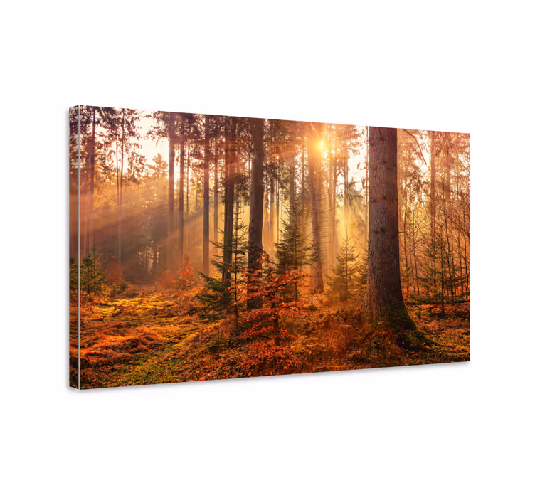 Tree canvas wall art tranquil forest - TenStickers