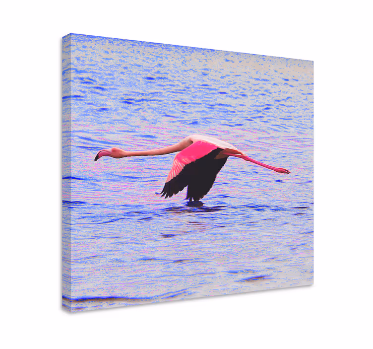 Fish canvas flamingo in flight - TenStickers